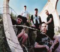 photo of Social Combat